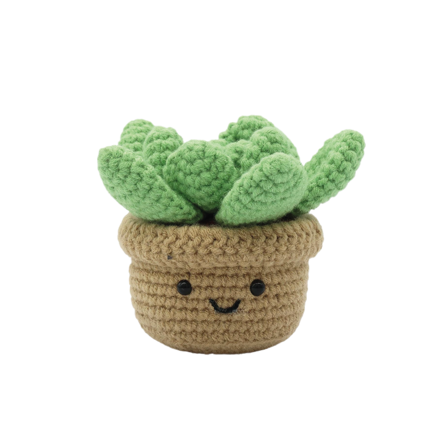 Pierre Belvedere - SUCCULENT DIY CROCHET KIT